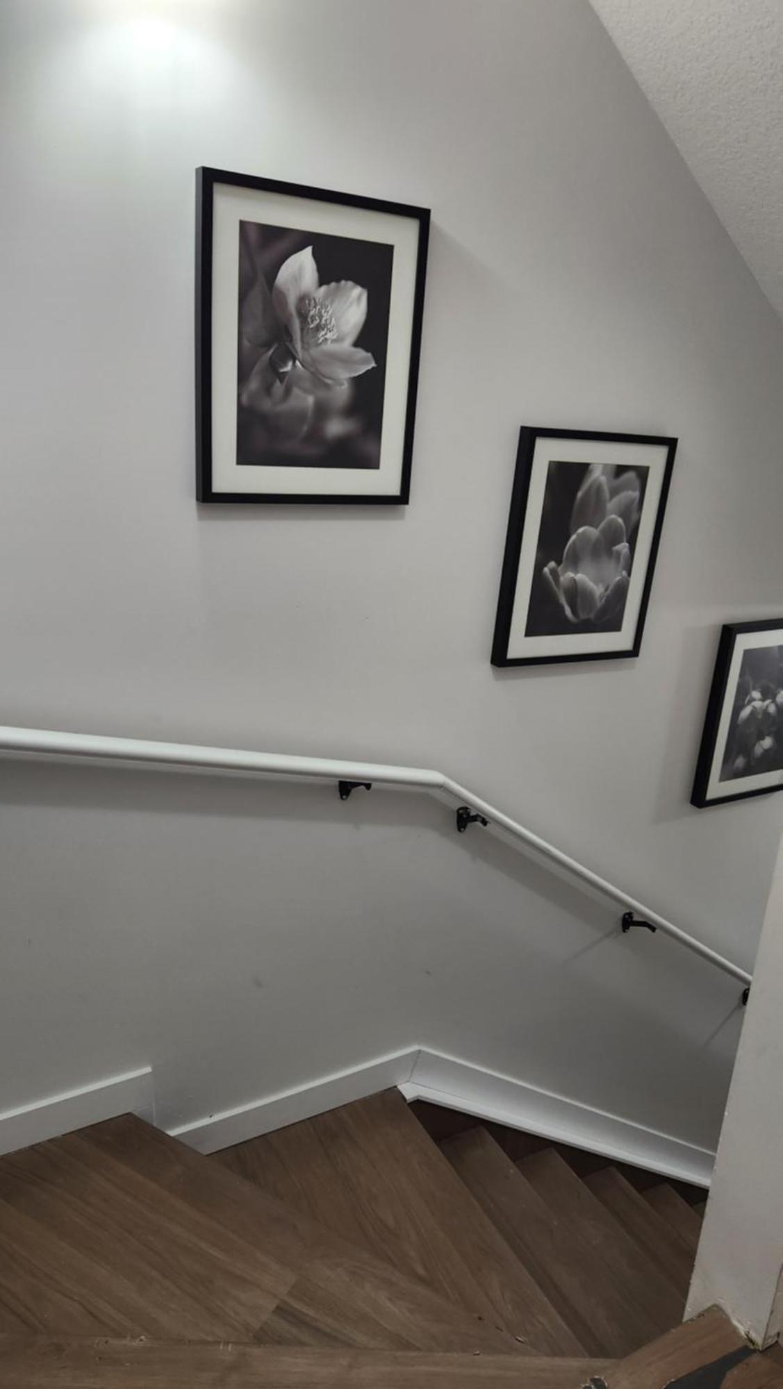 Modern 2 Bedroom Basement Suite At West Edmonton Eksteriør bilde