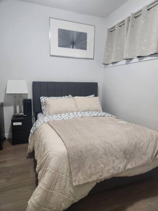 Modern 2 Bedroom Basement Suite At West Edmonton Eksteriør bilde