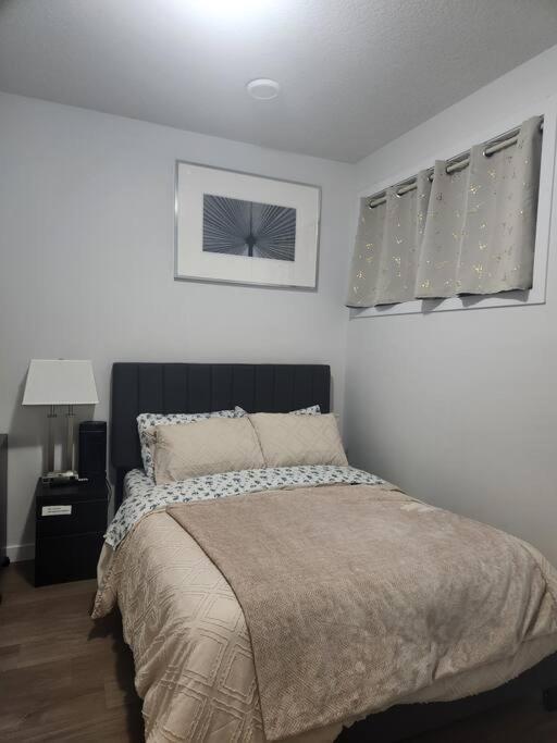 Modern 2 Bedroom Basement Suite At West Edmonton Eksteriør bilde
